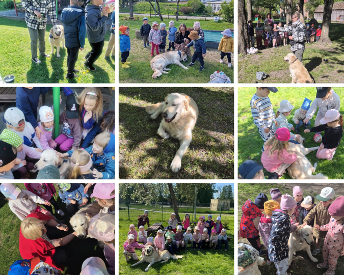 Amor Tobias