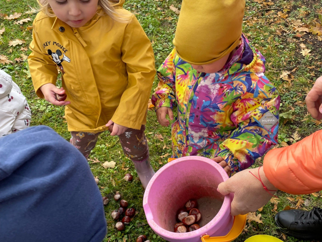 RUDENS PĀRGĀJIENS 