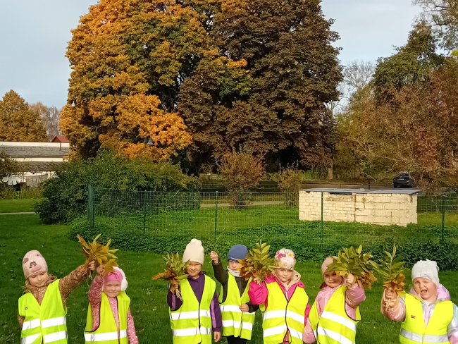 Latvijas Veselības sporta nedēļa