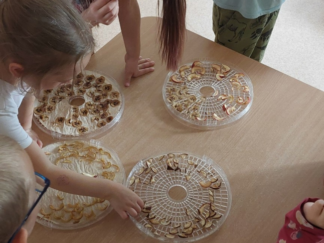 Latvijas Veselības sporta nedēļa